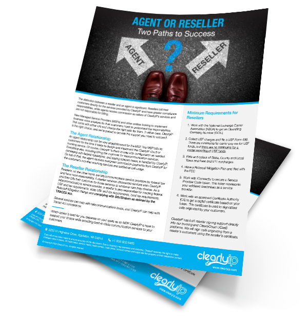 Agent or Reseller? Two Paths to Success Brochure